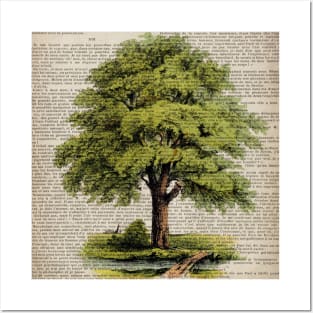 1980s environmental earth day botanical vintage oak tree Posters and Art